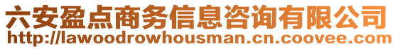 六安盈點商務信息咨詢有限公司