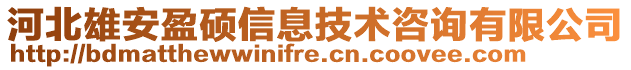 河北雄安盈碩信息技術咨詢有限公司