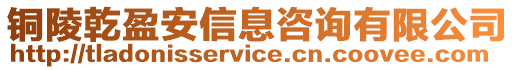 銅陵乾盈安信息咨詢有限公司