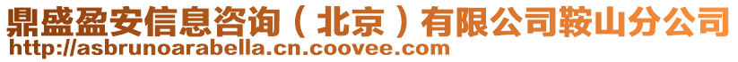 鼎盛盈安信息咨詢（北京）有限公司鞍山分公司