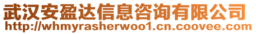 武漢安盈達信息咨詢有限公司