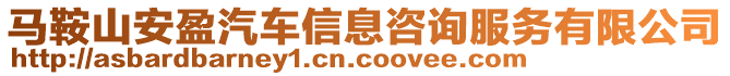 馬鞍山安盈汽車信息咨詢服務有限公司