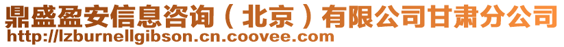 鼎盛盈安信息咨詢（北京）有限公司甘肅分公司