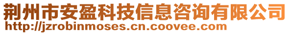 荊州市安盈科技信息咨詢有限公司