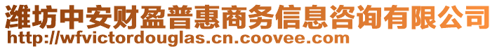 濰坊中安財(cái)盈普惠商務(wù)信息咨詢有限公司
