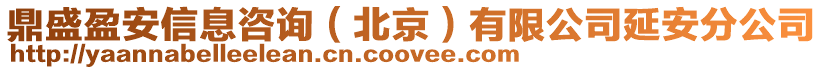 鼎盛盈安信息咨詢（北京）有限公司延安分公司