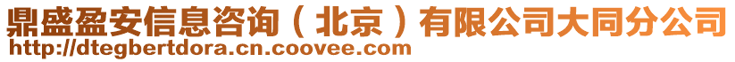 鼎盛盈安信息咨詢（北京）有限公司大同分公司