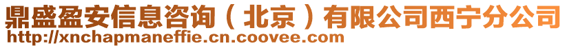 鼎盛盈安信息咨詢（北京）有限公司西寧分公司
