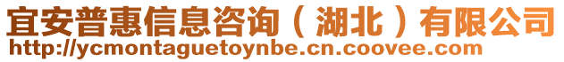 宜安普惠信息咨詢（湖北）有限公司
