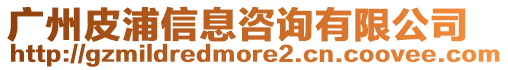 廣州皮浦信息咨詢有限公司