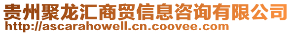 貴州聚龍匯商貿信息咨詢有限公司