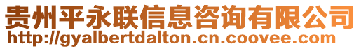 貴州平永聯信息咨詢有限公司