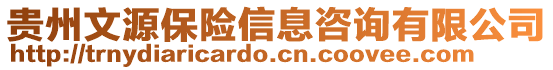 貴州文源保險信息咨詢有限公司
