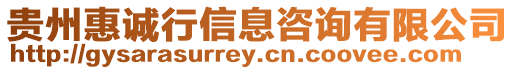 貴州惠誠行信息咨詢有限公司