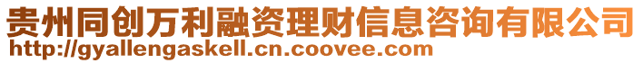貴州同創(chuàng)萬利融資理財信息咨詢有限公司