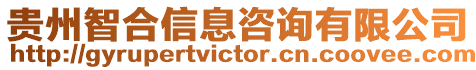 貴州智合信息咨詢有限公司