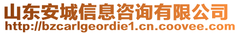 山東安城信息咨詢有限公司