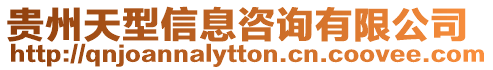 貴州天型信息咨詢有限公司