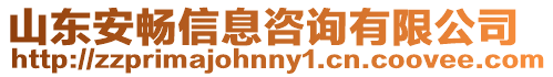 山東安暢信息咨詢有限公司