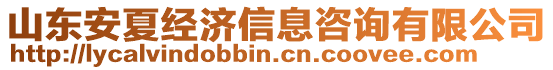 山東安夏經濟信息咨詢有限公司