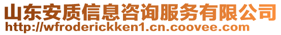 山東安質(zhì)信息咨詢服務(wù)有限公司