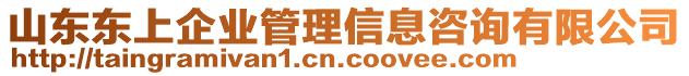 山東東上企業(yè)管理信息咨詢有限公司