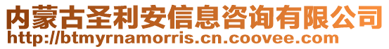 內蒙古圣利安信息咨詢有限公司