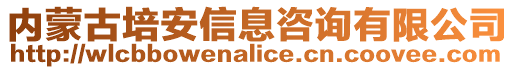 內(nèi)蒙古培安信息咨詢有限公司
