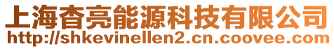 上海杳亮能源科技有限公司