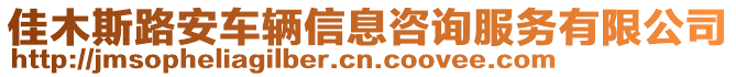 佳木斯路安車輛信息咨詢服務有限公司