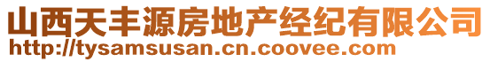 山西天豐源房地產經紀有限公司