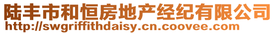 陸豐市和恒房地產(chǎn)經(jīng)紀(jì)有限公司