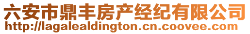 六安市鼎豐房產經紀有限公司