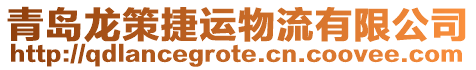 青島龍策捷運物流有限公司