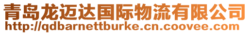 青島龍邁達國際物流有限公司
