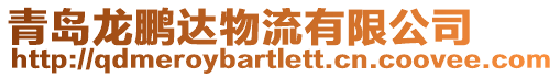 青島龍鵬達物流有限公司