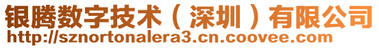 銀騰數(shù)字技術(shù)（深圳）有限公司