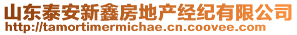 山東泰安新鑫房地產(chǎn)經(jīng)紀(jì)有限公司
