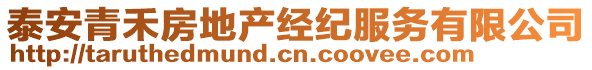 泰安青禾房地產經紀服務有限公司