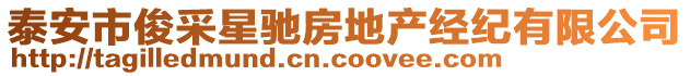 泰安市俊采星馳房地產經紀有限公司