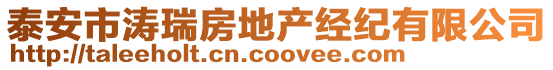 泰安市濤瑞房地產經紀有限公司
