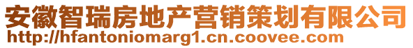 安徽智瑞房地產(chǎn)營(yíng)銷策劃有限公司