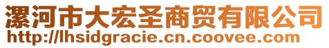 漯河市大宏圣商貿(mào)有限公司