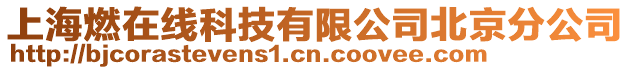 上海燃在線科技有限公司北京分公司