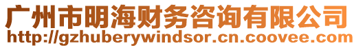 廣州市明海財務咨詢有限公司