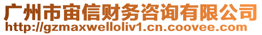 廣州市宙信財(cái)務(wù)咨詢有限公司