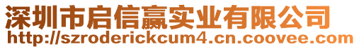 深圳市啟信贏實業有限公司