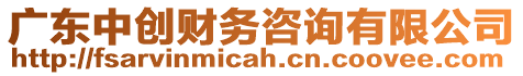 廣東中創財務咨詢有限公司