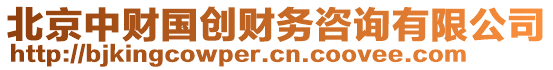 北京中財(cái)國(guó)創(chuàng)財(cái)務(wù)咨詢有限公司