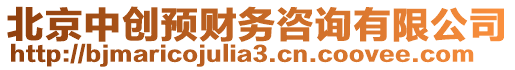 北京中創(chuàng)預(yù)財(cái)務(wù)咨詢有限公司